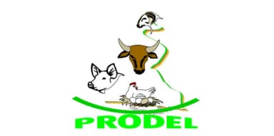 Prodel